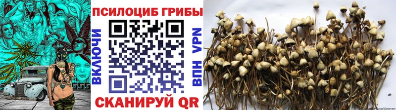 кракен ссылки Верхняя Пышма Псилоцибиновые грибы мухоморы