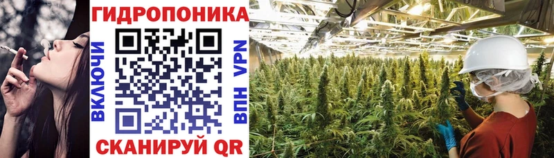 kraken как войти  Верхняя Пышма  Бошки Шишки сатива 